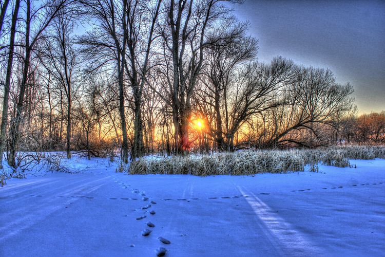 Stoughton, WI Real Estate and Homes for Sale